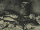 Natura morta -     - Emporium - n° 446 - Febbraio 1932